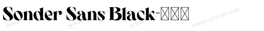 Sonder Sans Black字体转换 Sonder Sans Black字体转换